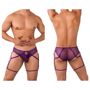 Mesh Garter Briefs