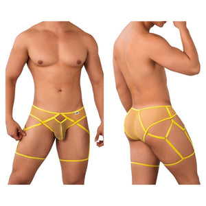 Mesh Garter Briefs